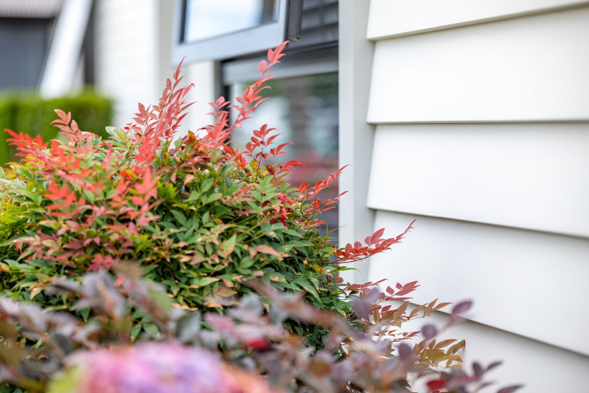 Unit 210, Cambridge Oaks Village, 14 Terry Came Drive, Cambridge 3434