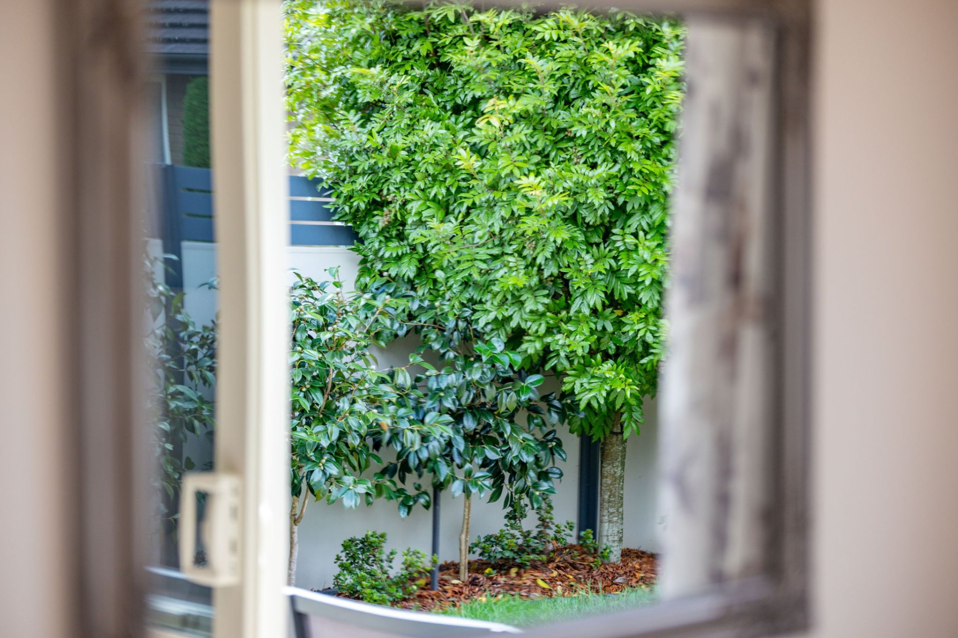41 Kingdon Street, Leamington, Cambridge 3432